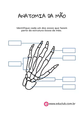 Ossos da mão para completar Ossos da mão para completar para 4º Ano, 3º Ano, 2º Ano de Ciências, Corpo humano - Material educacional