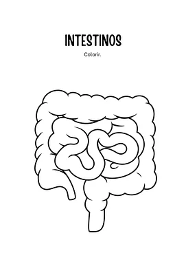 Intestino para colorir Intestino para colorir para 4º Ano, 3º Ano, 2º Ano de Ciências, Corpo humano - Material educacional