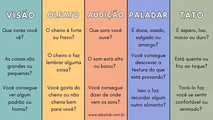 Perguntas sobre os 5 sentidos