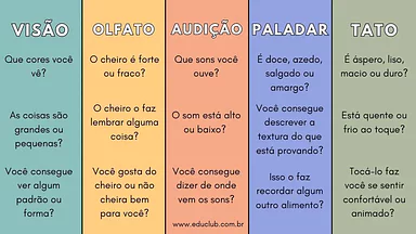 Perguntas sobre os 5 sentidos Perguntas sobre os 5 sentidos para 2º Ano, 1º Ano de Recursos Educativos, Ciências, Cinco sentidos - Material educacional