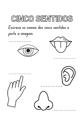 Nomes dos cinco sentidos Nomes dos cinco sentidos para 2º Ano, 1º Ano de Ciências, Cinco sentidos - Material educacional