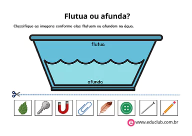 Flutua ou afunda para 2º Ano, 1º Ano de Ciências, Experimentos - Material educacional