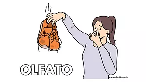 Cartaz do sentido do olfato