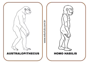 Atividade evolução humana - Pré-história