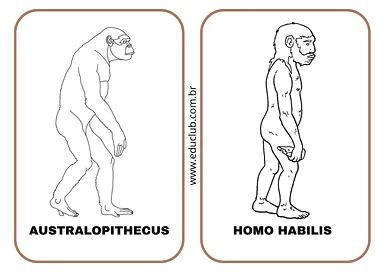 Atividade evolução humana - Pré-história para 4º Ano, 3º Ano, 2º Ano de História, Recursos Educativos, Vocabulário, Pré-Hi...