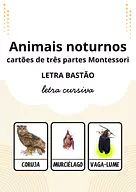 Animais noturnos - cartões de três partes Montessori Animais noturnos - cartões de três partes Montessori para Creche, Pré-Escola de Ciências, Seres Vivos - Material educacional