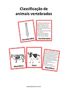 Atividade sobre animais vertebrados Atividade sobre animais vertebrados para 2º Ano, 1º Ano de Ciências, Seres Vivos, Material Montessori - Material educacional
