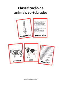 Atividade sobre animais vertebrados