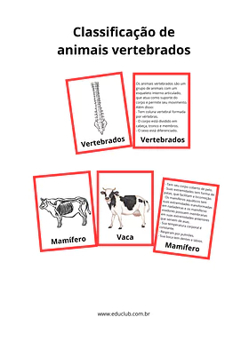 Atividade sobre animais vertebrados Atividade sobre animais vertebrados para 2º Ano, 1º Ano de Ciências, Seres Vivos, Material Montessori - Material educacional