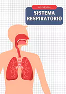 Atividades sobre sistema respiratório 5 ano Atividades sobre sistema respiratório 5 ano para 5º Ano de Ciências, Corpo humano - Material educacional