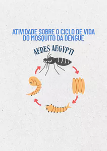 Atividade sobre o ciclo de vida do mosquito da dengue, o Aedes Aegypti