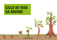 Atividade sobre ciclo de vida da árvore para 5º Ano, 4º Ano, 3º Ano, 2º Ano, 1º Ano de Datas Comemorativas, Ciências, Plan...