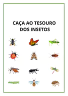 Caça ao tesouro dos insetos para imprimir Caça ao tesouro dos insetos para imprimir para 5º Ano, 4º Ano, 3º Ano, 2º Ano, 1º Ano de Recursos Educativos, Ciências, Se...