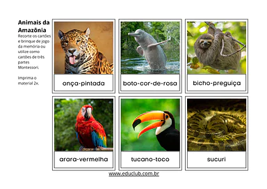 Animais da Amazônia para imprimir para 5º Ano, 4º Ano, 3º Ano, 2º Ano, 1º Ano de Geografia, Brasil - Material educacional