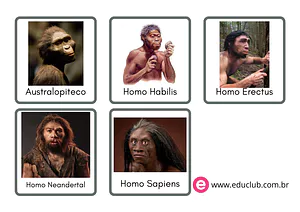 Evolução humana na pré-história