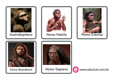 Evolução humana na pré-história Evolução humana na pré-história para 4º Ano, 3º Ano, 2º Ano de História, Pré-História - Material educacional