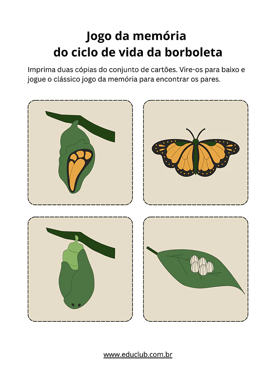 Ciclo de vida da borboleta para Educação Infantil: atividades para ...