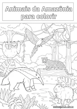 Animais da Amazônia para colorir Animais da Amazônia para colorir para Creche, 5º Ano, 4º Ano, 3º Ano, 2º Ano, 1º Ano, Pré-Escola de Geografia, Ciências, S...