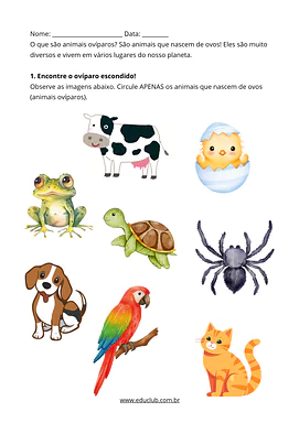 Atividade sobre animais ovíparos para imprimir Atividade sobre animais ovíparos para imprimir para 1º Ano, 2º Ano, 3º Ano, 4º Ano, 5º Ano de Ciências, Seres Vivos - Mate...