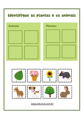Atividade sobre plantas e animais Atividade sobre plantas e animais para 1º Ano, 2º Ano de Ciências, Seres Vivos, Plantas - Material educacional