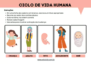 Atividade sobre ciclo de vida humana para imprimir