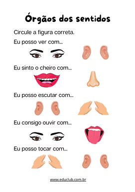 Exercício sobre as funções dos órgãos dos sentidos Exercício sobre as funções dos órgãos dos sentidos para 1º Ano de Ciências, Corpo humano - Material educacional