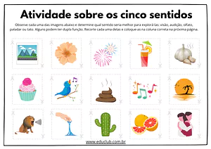 Atividades sobre os cinco sentidos do corpo humano
