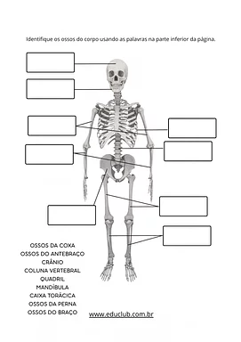 Atividade sobre sistema esquelético para completar para 3º Ano, 4º Ano, 5º Ano de Corpo humano, Ciências - Material educac...