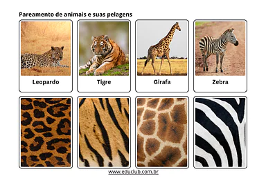 Pareamento de animais para imprimir Pareamento de animais para imprimir para Creche, Pré-Escola, 1º Ano, 2º Ano de Língua Portuguesa, Ciências, Seres Vivos, V...