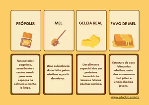 Apicultura - jogo de cartas para aprender sobre as abelhas