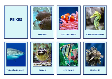 Animais Aquáticos - Lista de Peixes e Espécies Marinhas (Imagens e Nomes) para Educação Infantil, 1º Ano, 2º Ano, 3º Ano d...