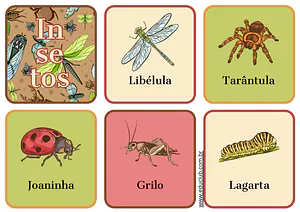 Jogo da memória dos insetos para imprimir