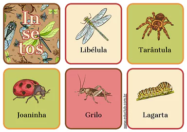 Jogo da memória dos insetos para imprimir para Educação Infantil, 1º Ano, 2º Ano de Animais, Ciências - Material educacional