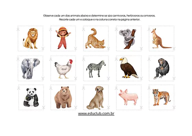 Atividade sobre animais carnivoros herbivoros e onivoros para 1º Ano, 2º Ano, 3º Ano de Animais, Ciências - Material educa...