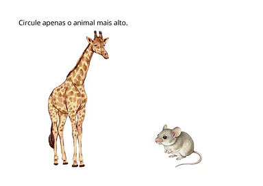 Atividade com conceitos de alto e baixo para Educação Infantil para Educação Infantil de Matemática - Material educacional