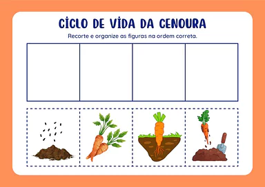 O ciclo de crescimento da cenoura para Educação Infantil, 1º Ano, 2º Ano de Ciências - Material educacional