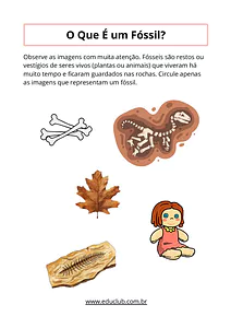 Atividades sobre fósseis para 4º e 5º ano