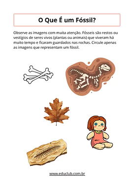Atividades sobre fósseis para 4º e 5º ano para 4º Ano, 5º Ano de História, Ciências - Material educacional