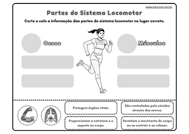 Atividade sobre sistema locomotor para 5º ano para 5º Ano de Ciências - Material educacional