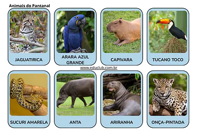 Animais do Pantanal para imprimir para Educação Infantil, 1º Ano, 2º Ano, 3º Ano de Geografia, Ciências - Material educaci...