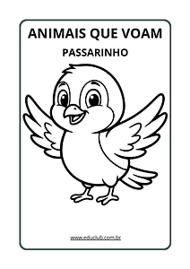 Animais que voam para colorir e imprimir