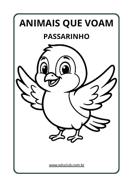 Animais que voam para colorir e imprimir para Educação Infantil, 1º Ano, 2º Ano de Ciências, Animais - Material educacional