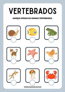 Atividades sobre os animais vertebrados