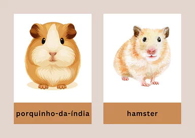 Animais roedores para imprimir para Educação Infantil, 1º Ano, 2º Ano de Ciências - Material educacional