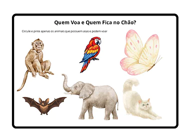 Atividades dos animais que voam para Educação Infantil para Educação Infantil de Ciências - Material educacional