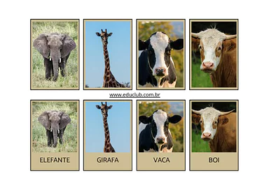 Jogo de pareamento dos animais herbívoros para imprimir para Educação Infantil, 1º Ano, 2º Ano, 3º Ano, 4º Ano, 5º Ano de ...