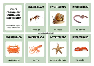 Jogo de pareamento dos animais vertebrados e invertebrados