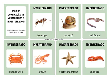 Jogo de pareamento dos animais vertebrados e invertebrados para Educação Infantil, 1º Ano, 2º Ano, 3º Ano de Ciências, Jog...