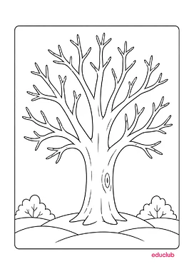 Atividade da árvore de inverno para colorir para Educação Infantil, 1º Ano, 2º Ano de Datas Comemorativas, Artes - Materia...