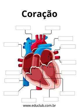 Anatomia do coração para completar Anatomia do coração para completar para 5º Ano, 4º Ano, 3º Ano de Ciências, Corpo humano - Material educacional